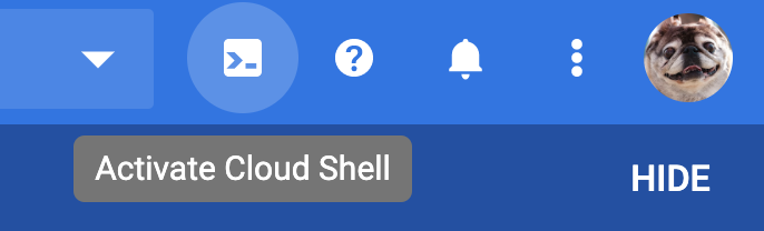Activate Cloud Shell option.