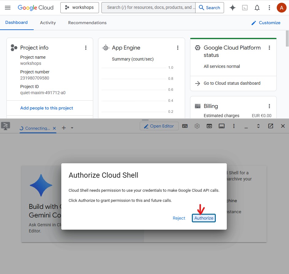 Cloud Shell'e yetki ver iletişim kutusu
