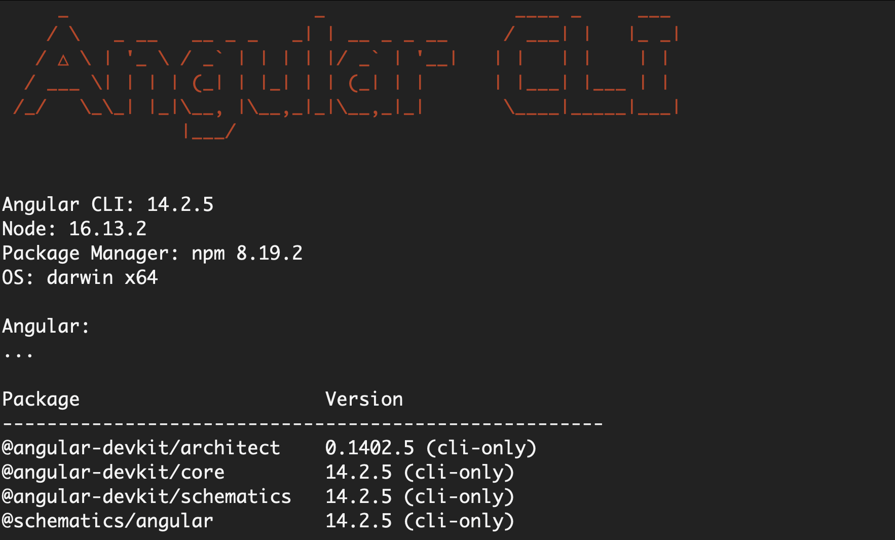 Terminal output of angular version