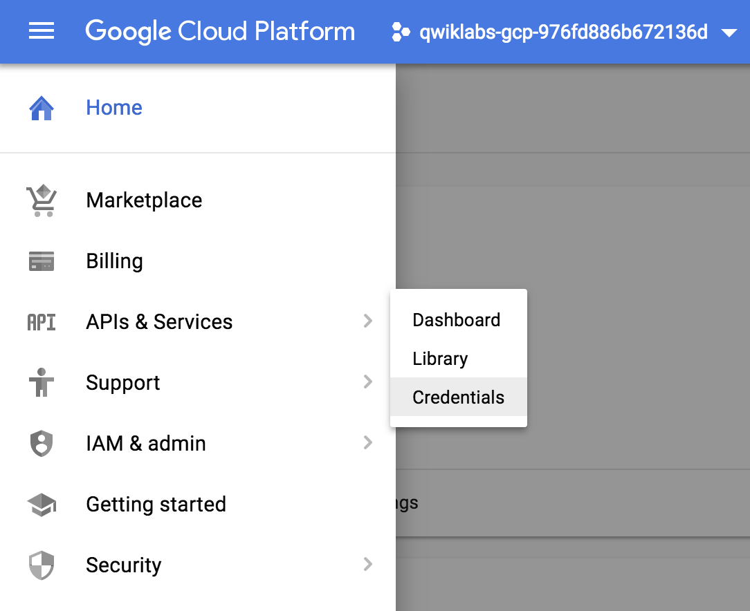 Menu navigasi yang menampilkan API & Opsi Services dan Credentials.