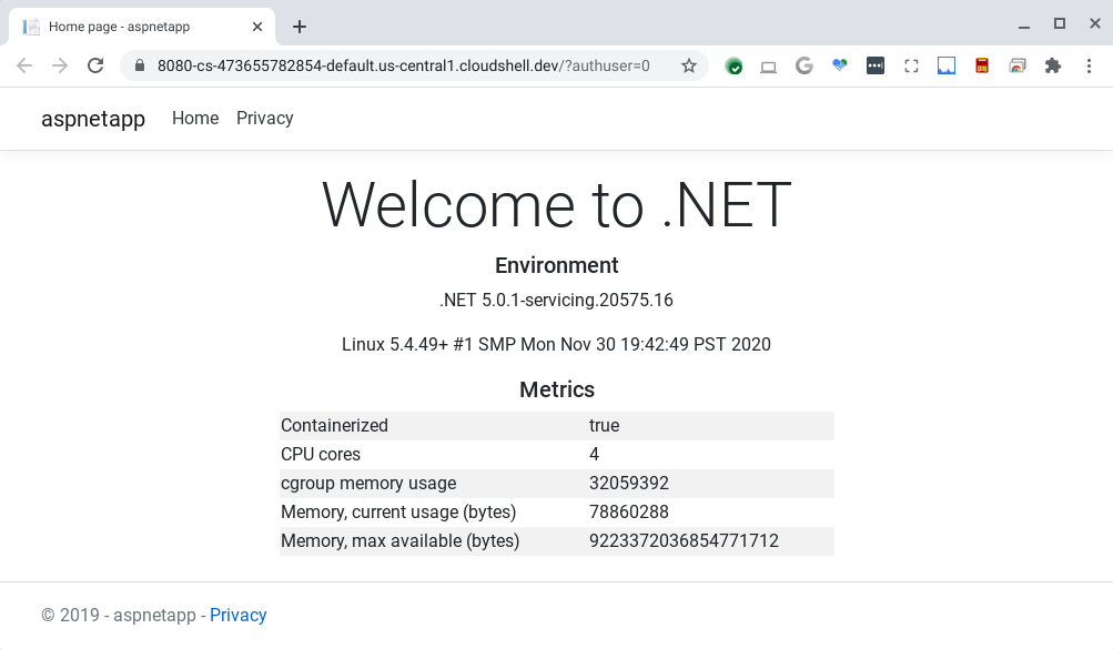 Screenshot of .NET app V1