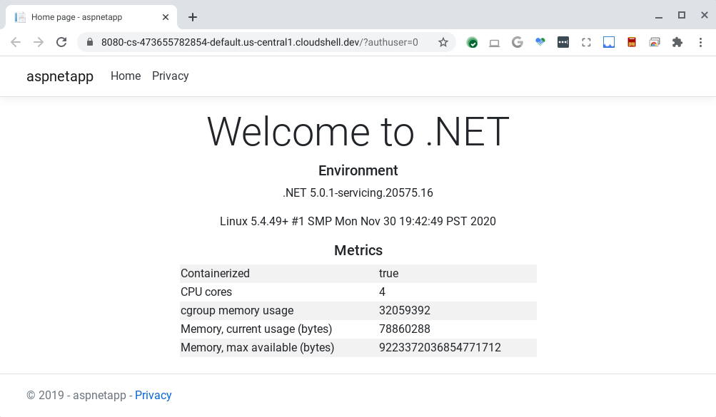 .NET ऐप्लिकेशन V1 का स्क्रीनशॉट