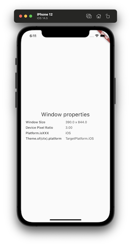 Showing window properties on the iOS simulator
