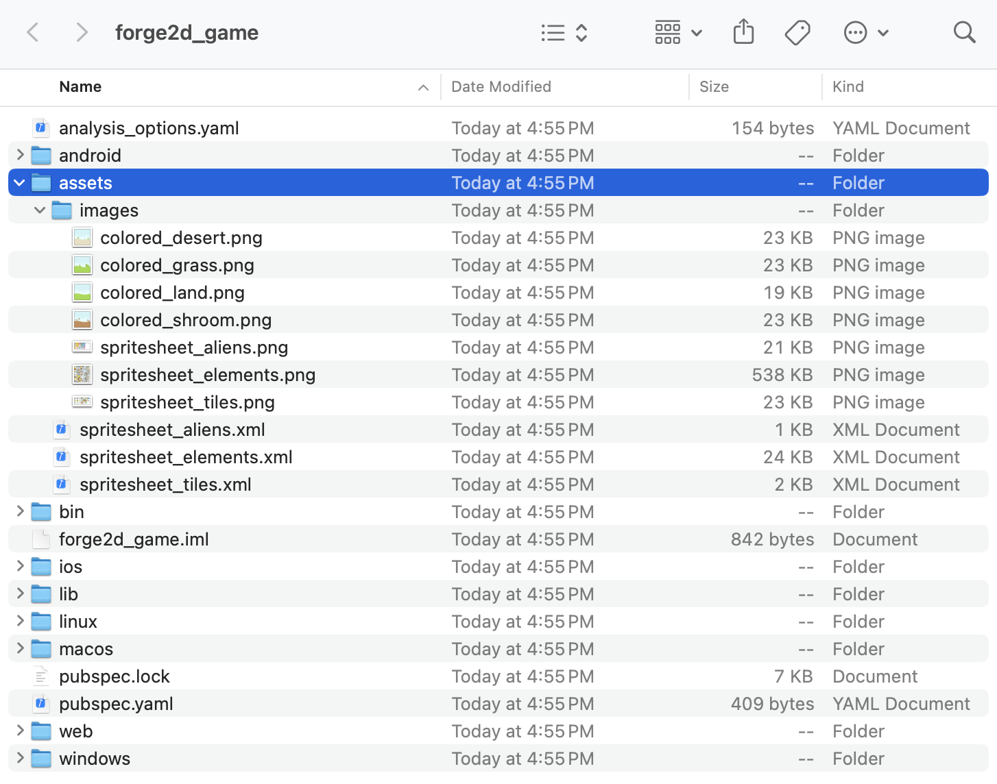 Trang thông tin tệp của thư mục dự án forge2d_game, trong đó thư mục tài sản được làm nổi bật