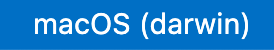The VSCode status bar decoration showing the Flutter target is macOS (darwin)