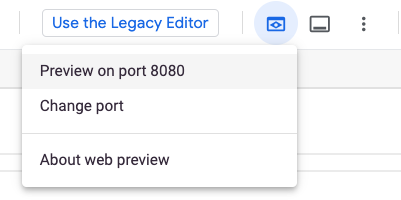 web preview - preview on port 8080 button