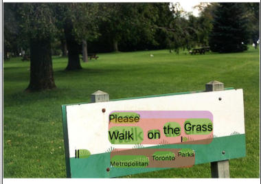 Image of sign on grass demonstrating text recognition API