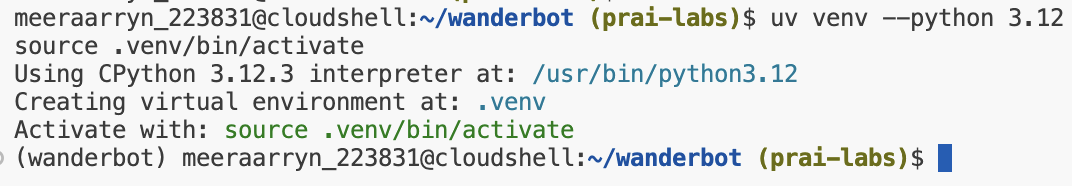 a screenshot of the terminal with an active virtual environment