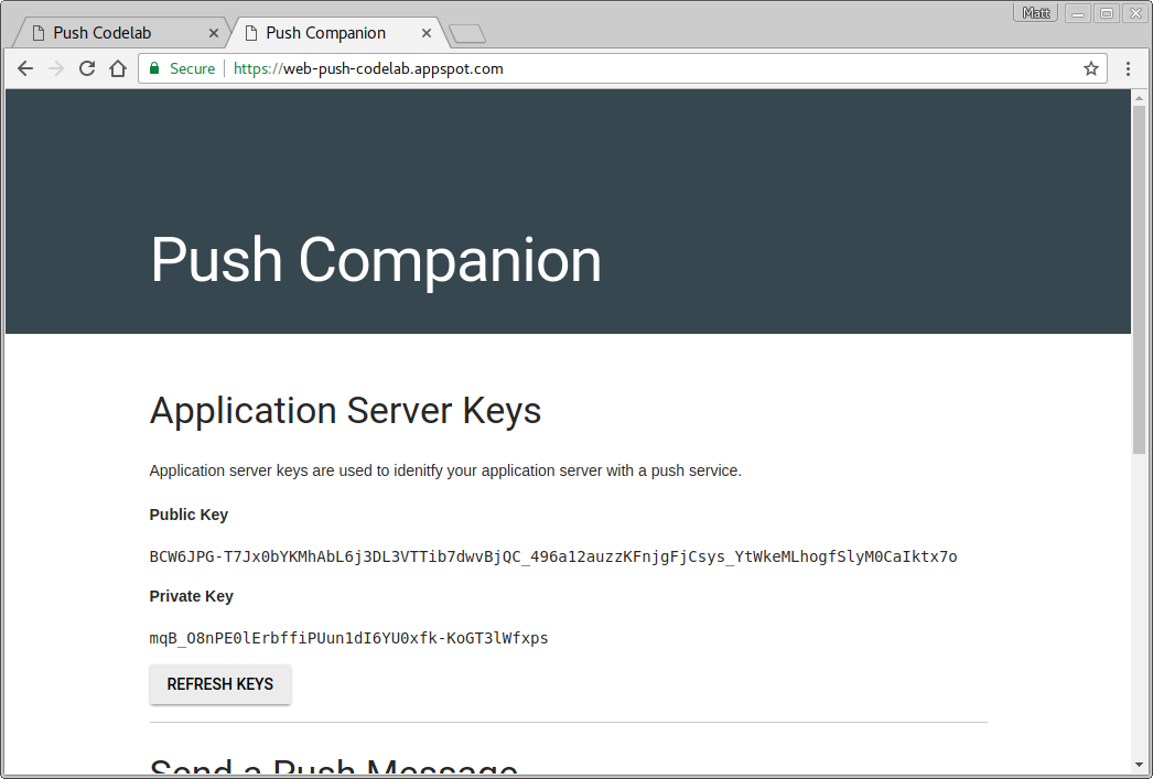 push-codelab-04-company.png