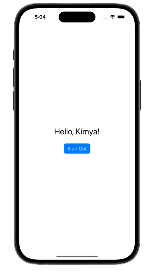 SwiftUI framework signed-in state on the iOS simulator