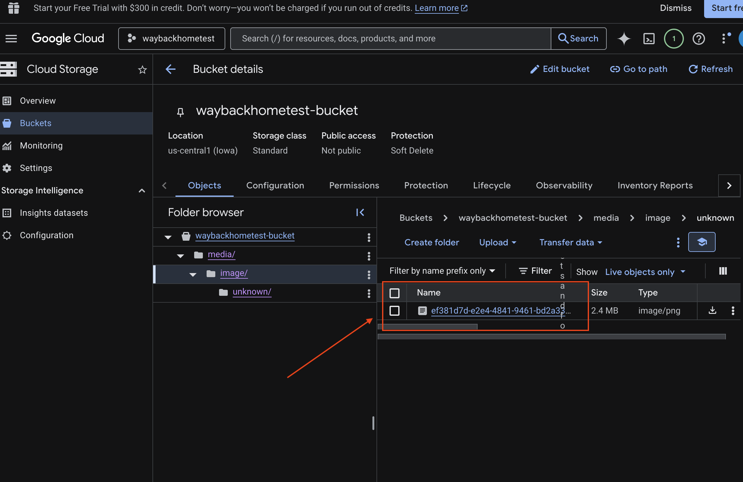 uploaded_img
