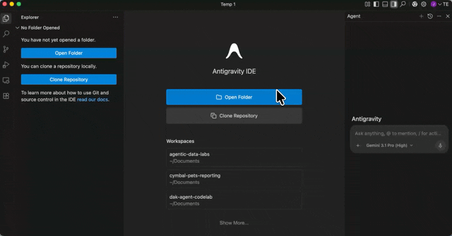 Configure Antigravity IDE project folder