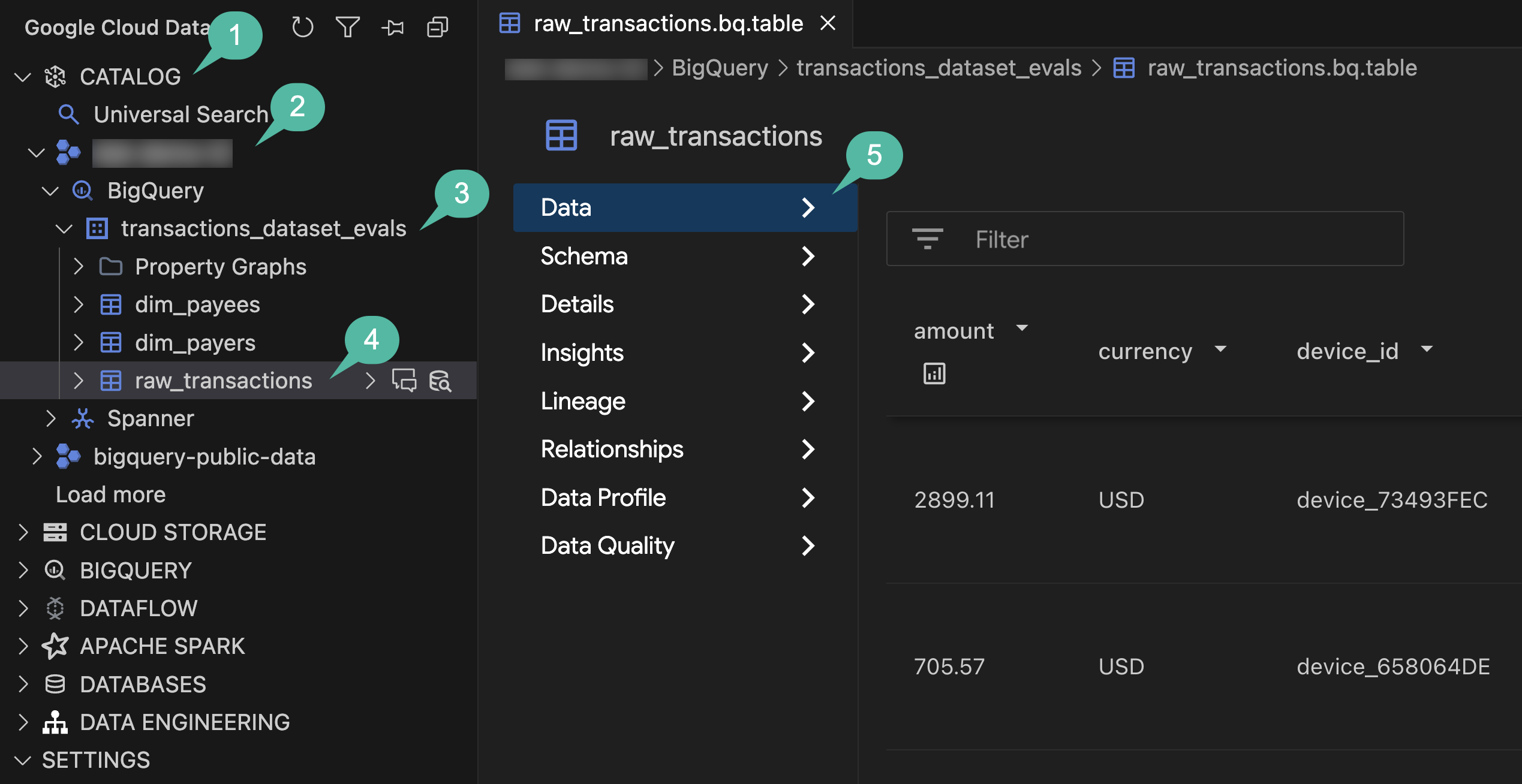 Verify Raw table in Catalog Explorer