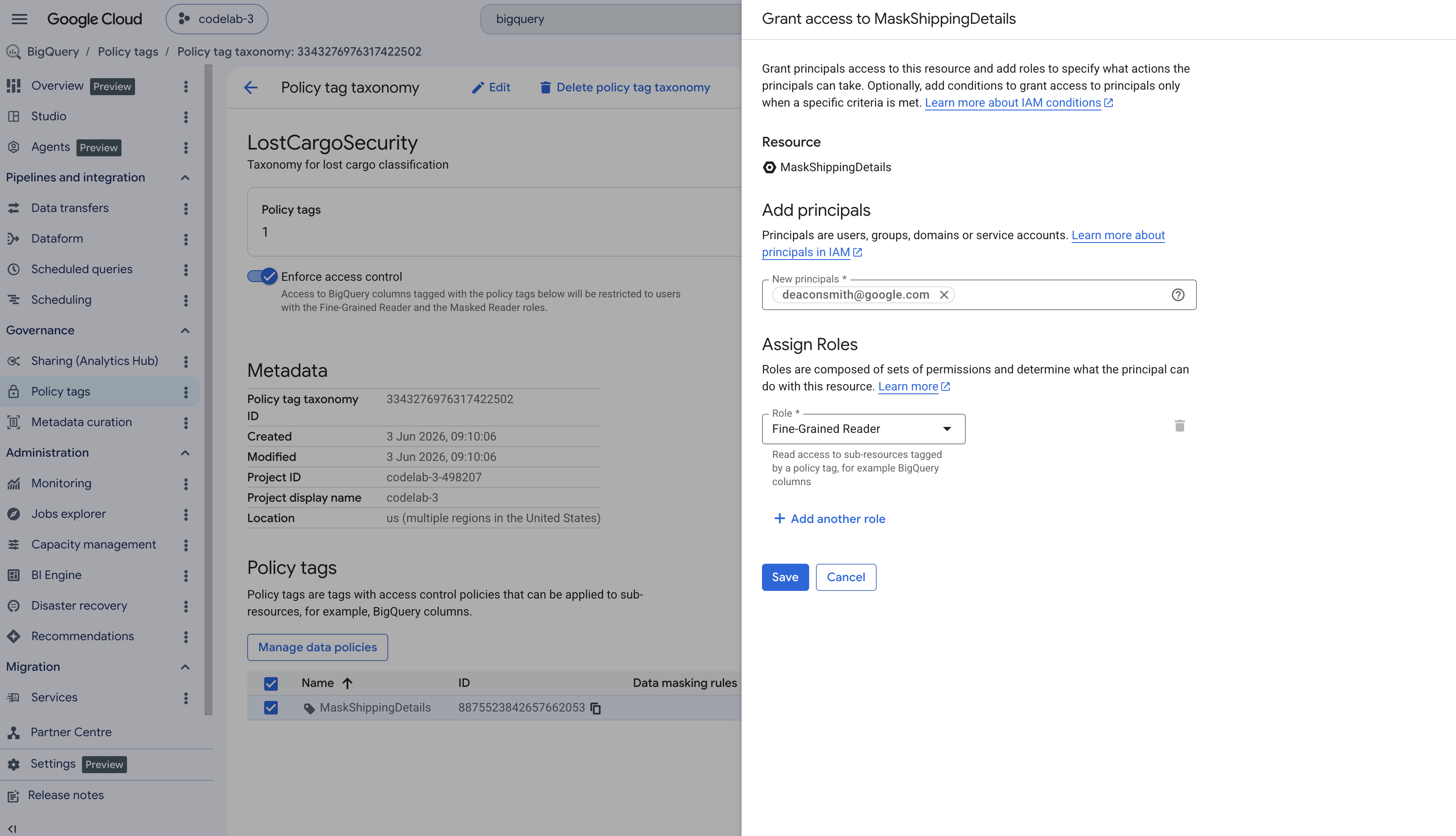 BigQuery politika etiketleri yönetim paneli, hedef dize maskesinde Ayrıntılı Okuyucu rolünü atar.