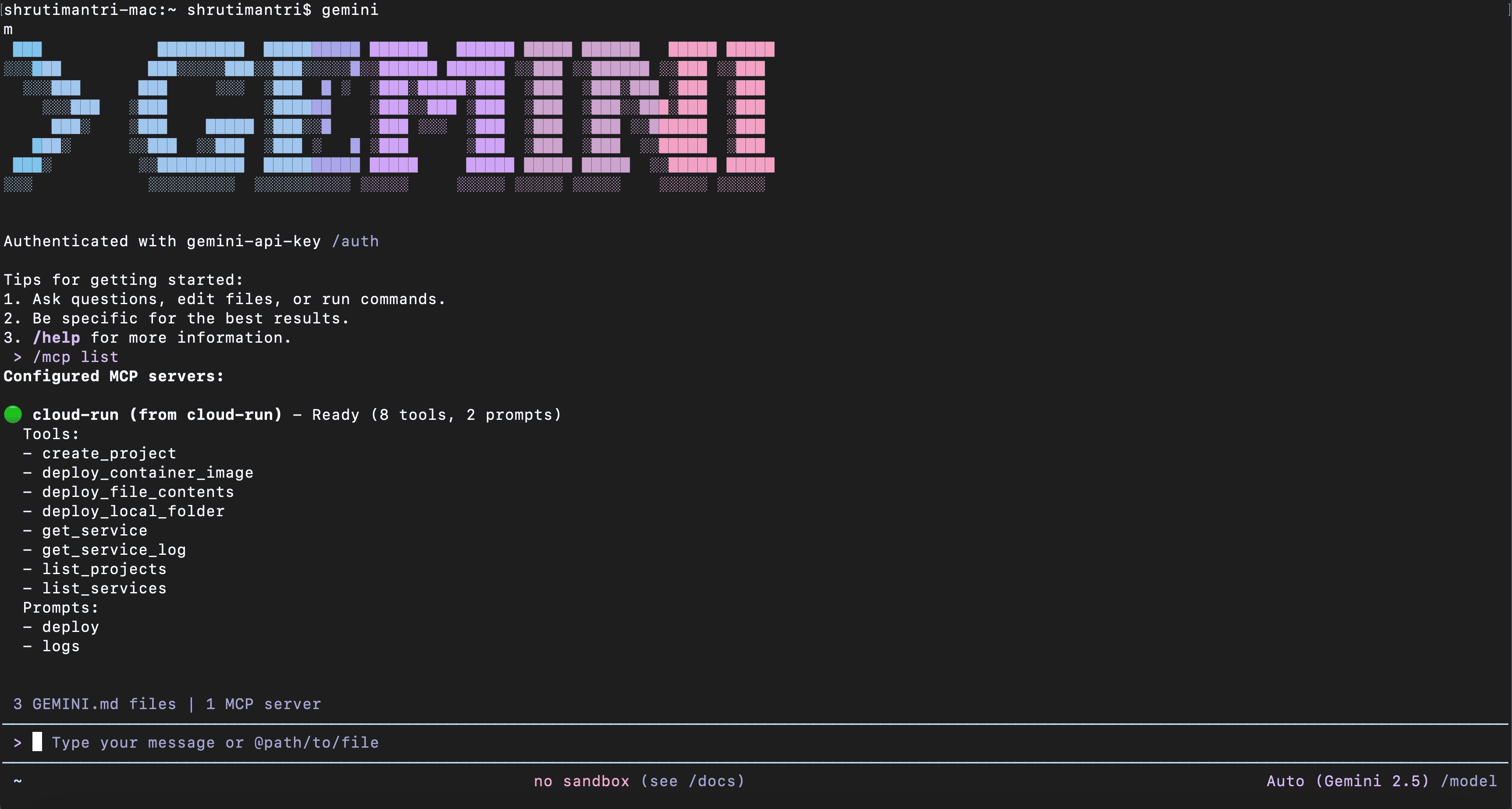 Deploy Applications from Gemini CLI and Antigravity to Cloud Run using ...