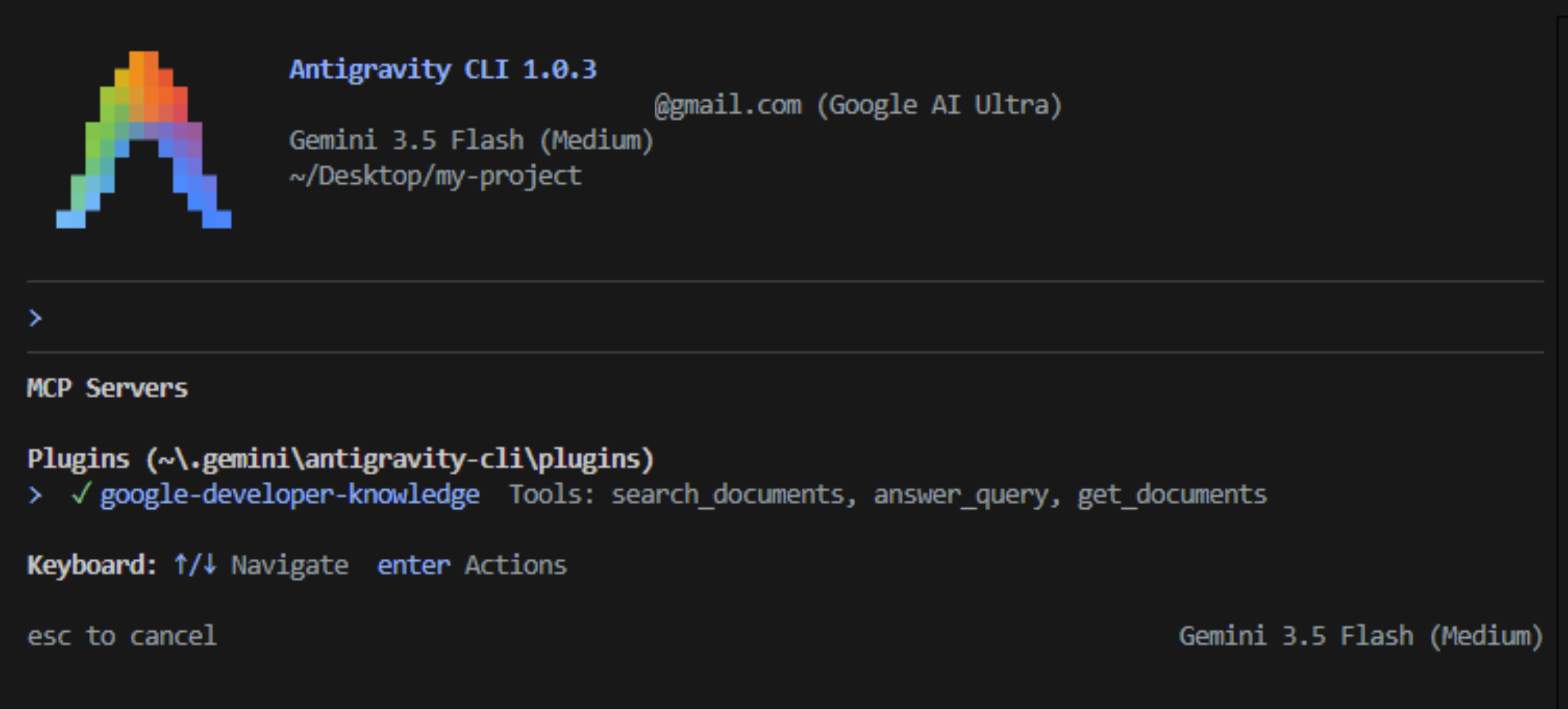 configured_mcp_server_cli.png