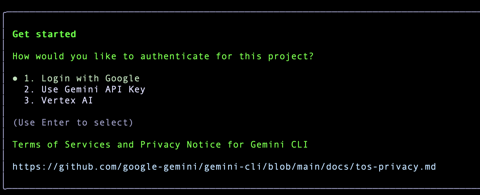 Penggunaan Gemini CLI secara langsung | Google Codelabs