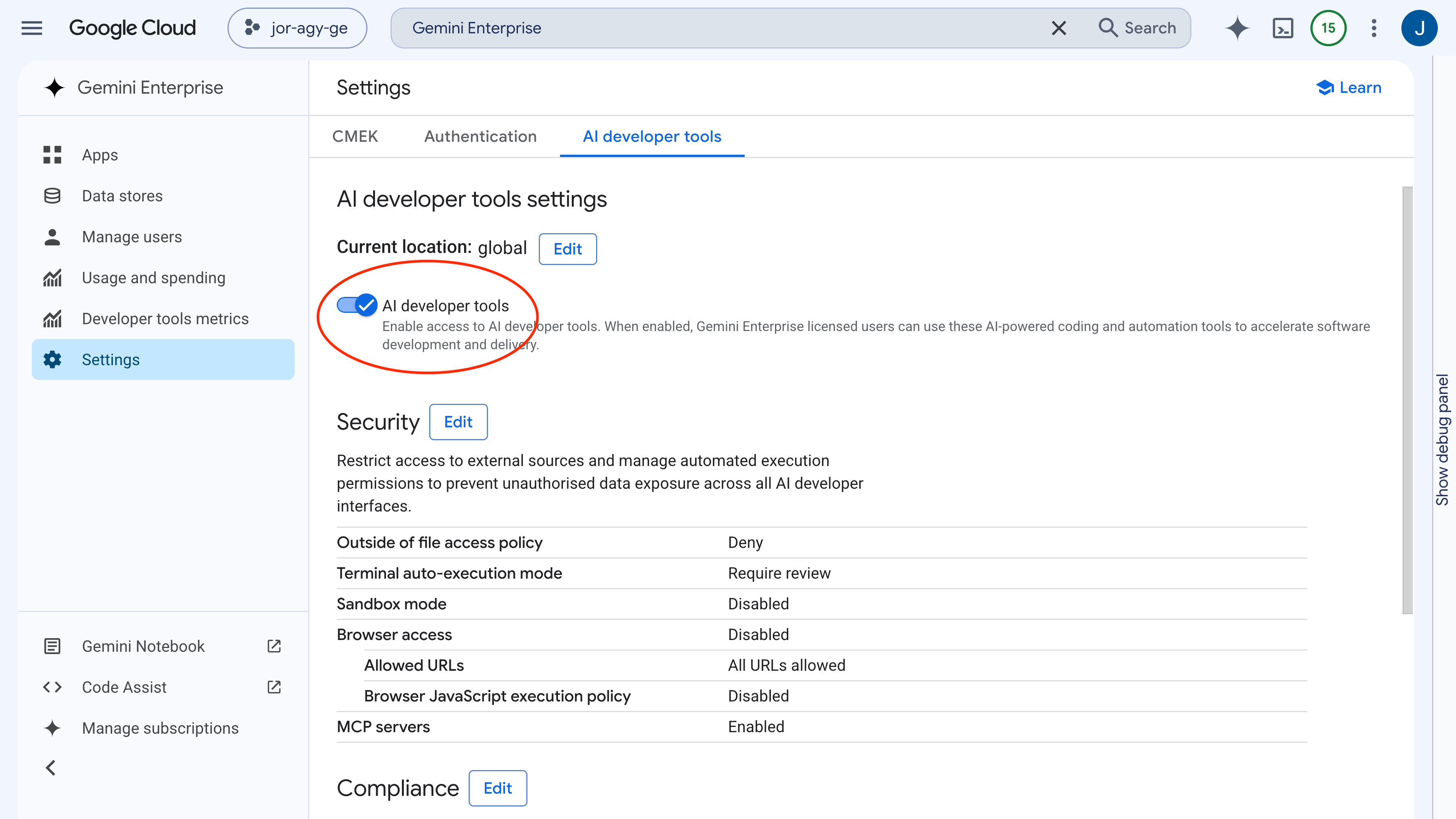 Enable AI Developer Tools