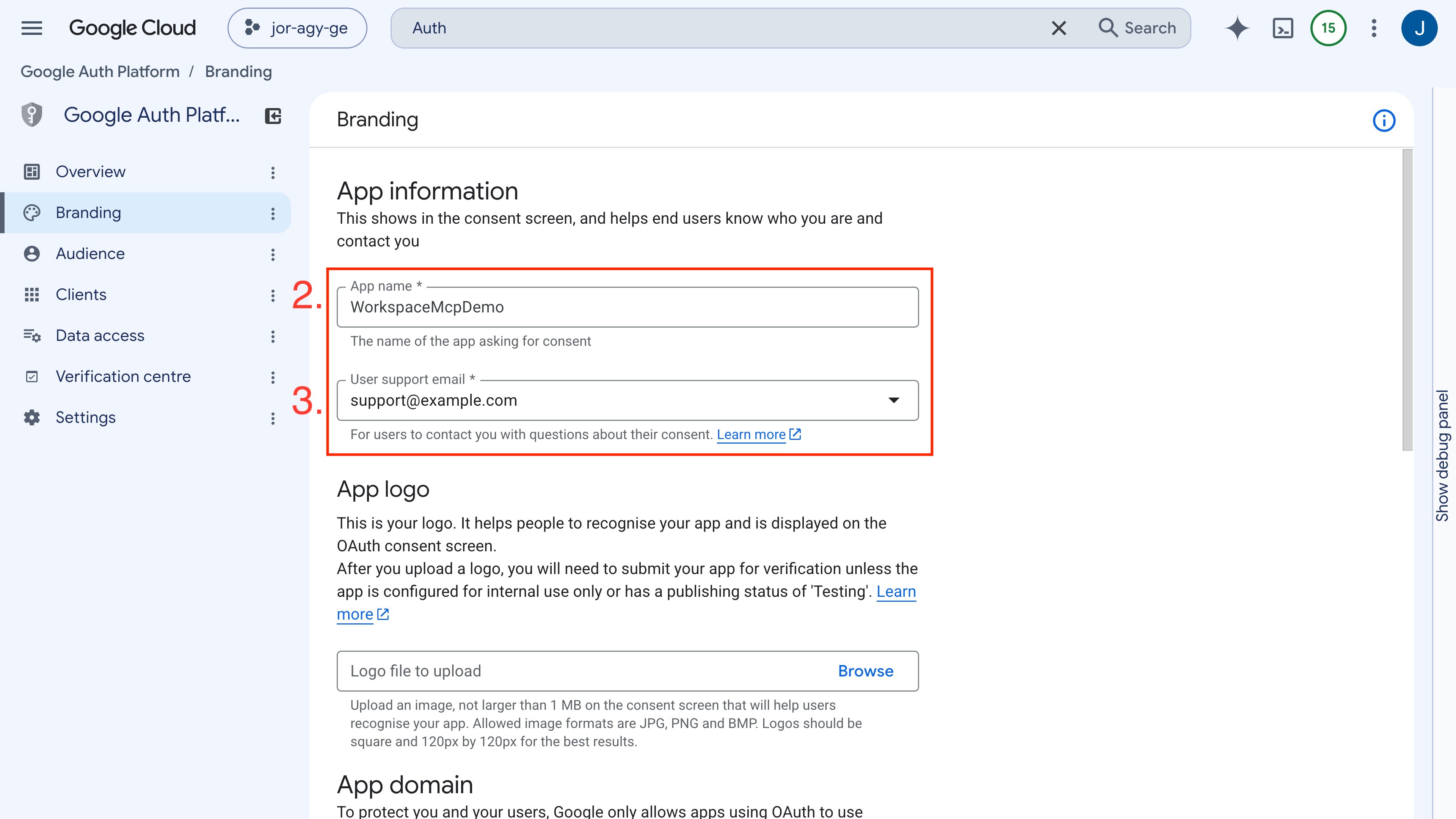 OAuth Consent Screen Configuration