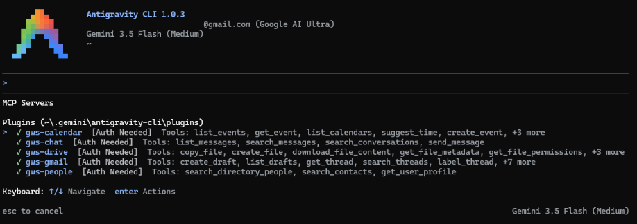 configured_mcp_servers_cli.png