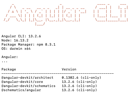 Angular CLI output displaying the angular version