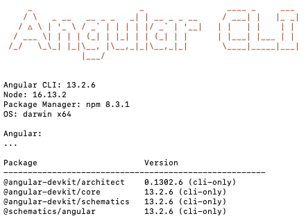 Angular 버전을 표시하는 Angular CLI 출력