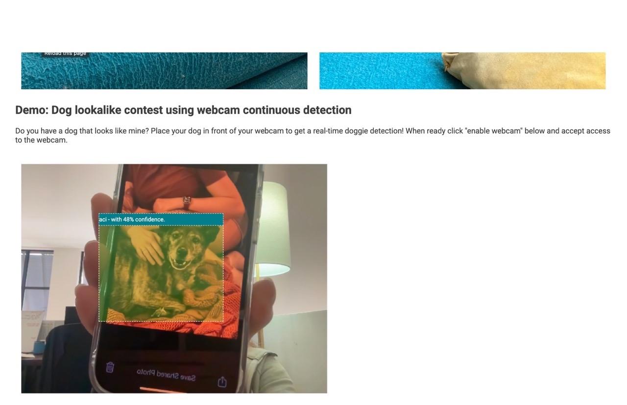 A bounding box over an image of a dog that's held up to a live webcam