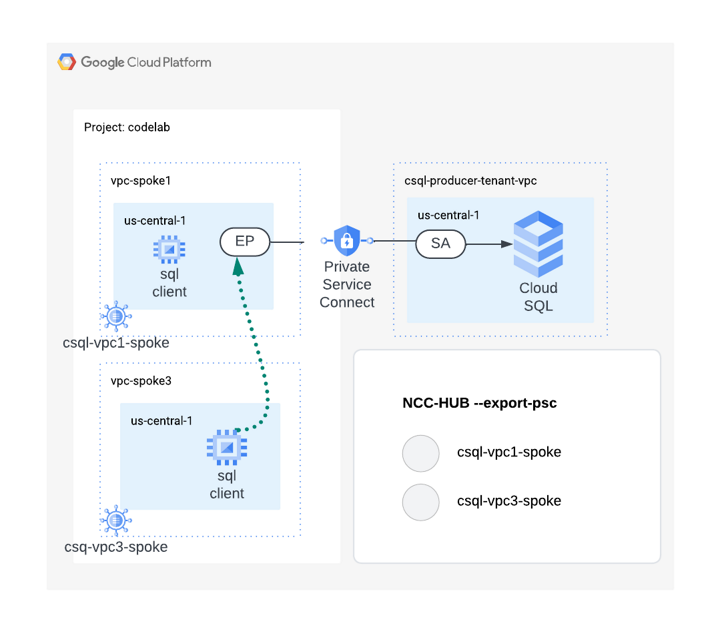 Lab: NCC PSC Propagation | Google Codelabs