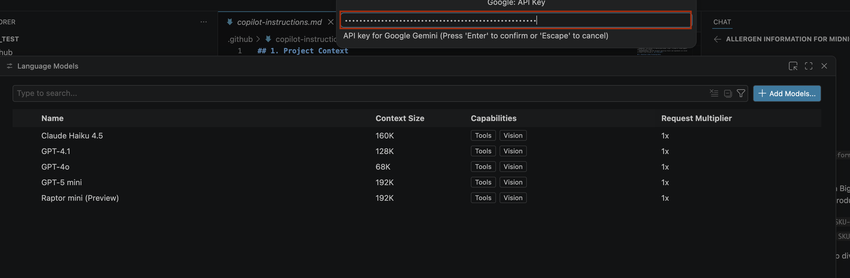 Google Gemini API 키