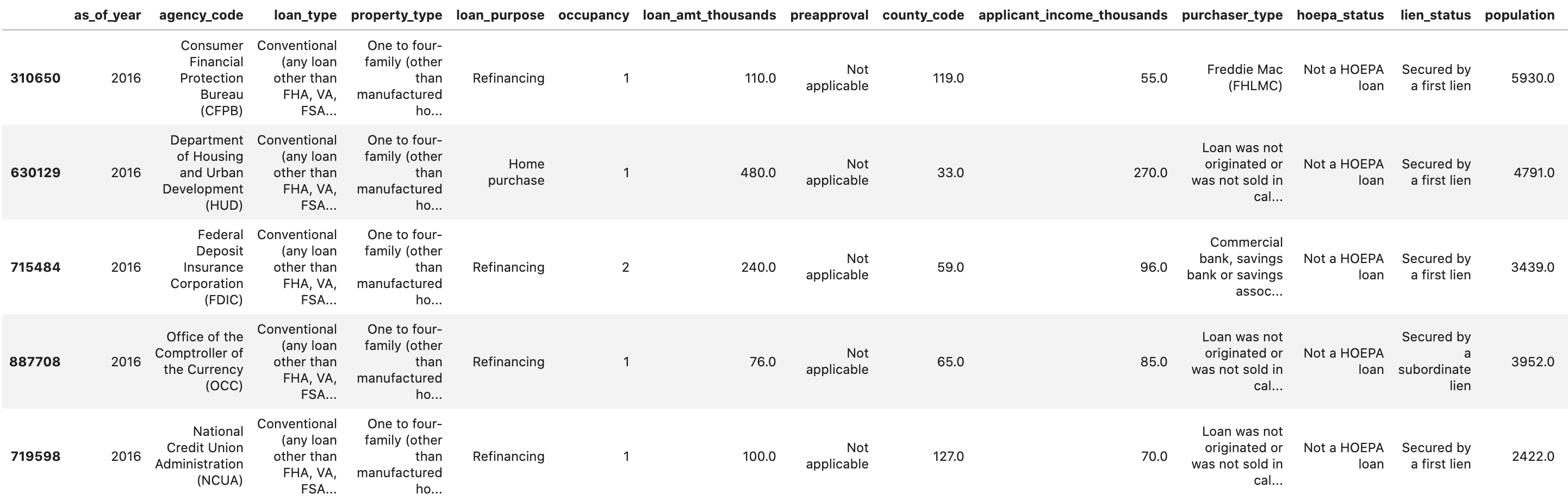 Mortgage dataset preview