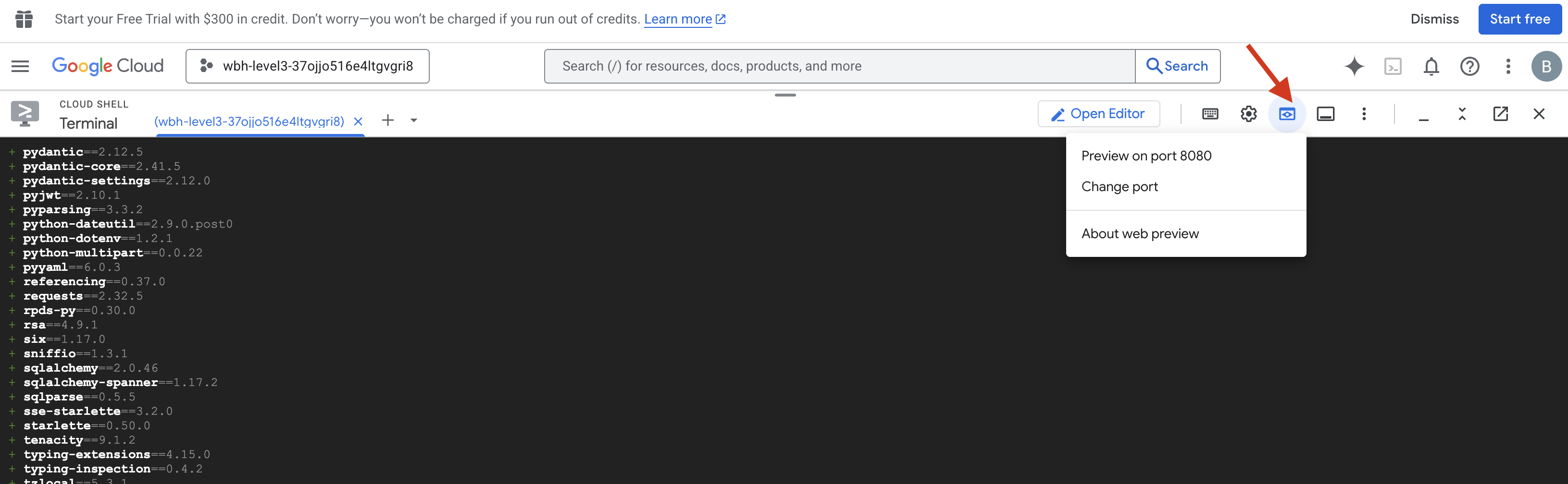 *Web-Preview