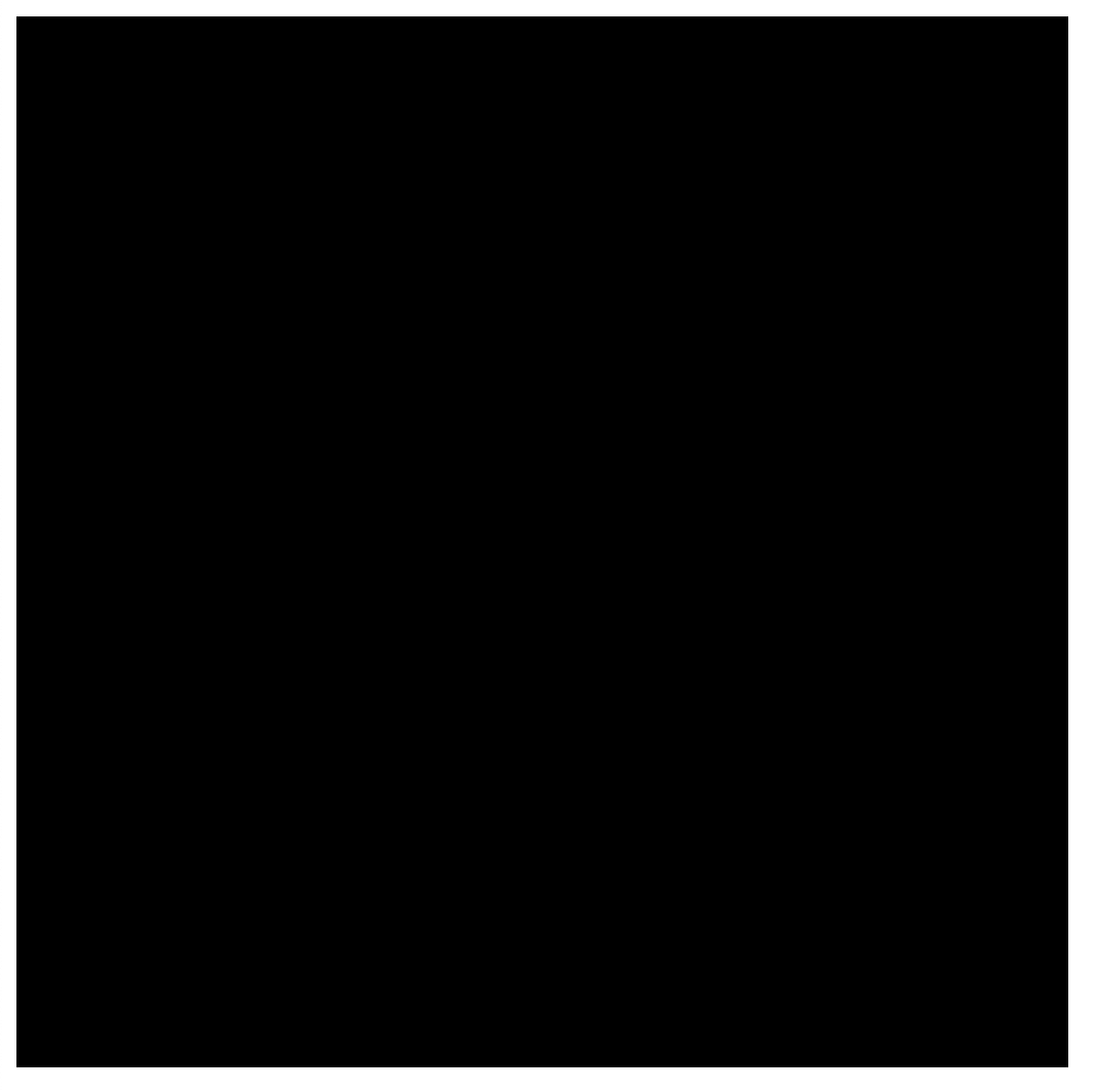 Un lienzo negro que indica que WebGPU se usó correctamente para borrar el contenido del lienzo. 